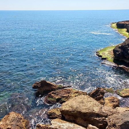 Apartment Only 250M From The Beach Los Locos Торрев'єха Екстер'єр фото