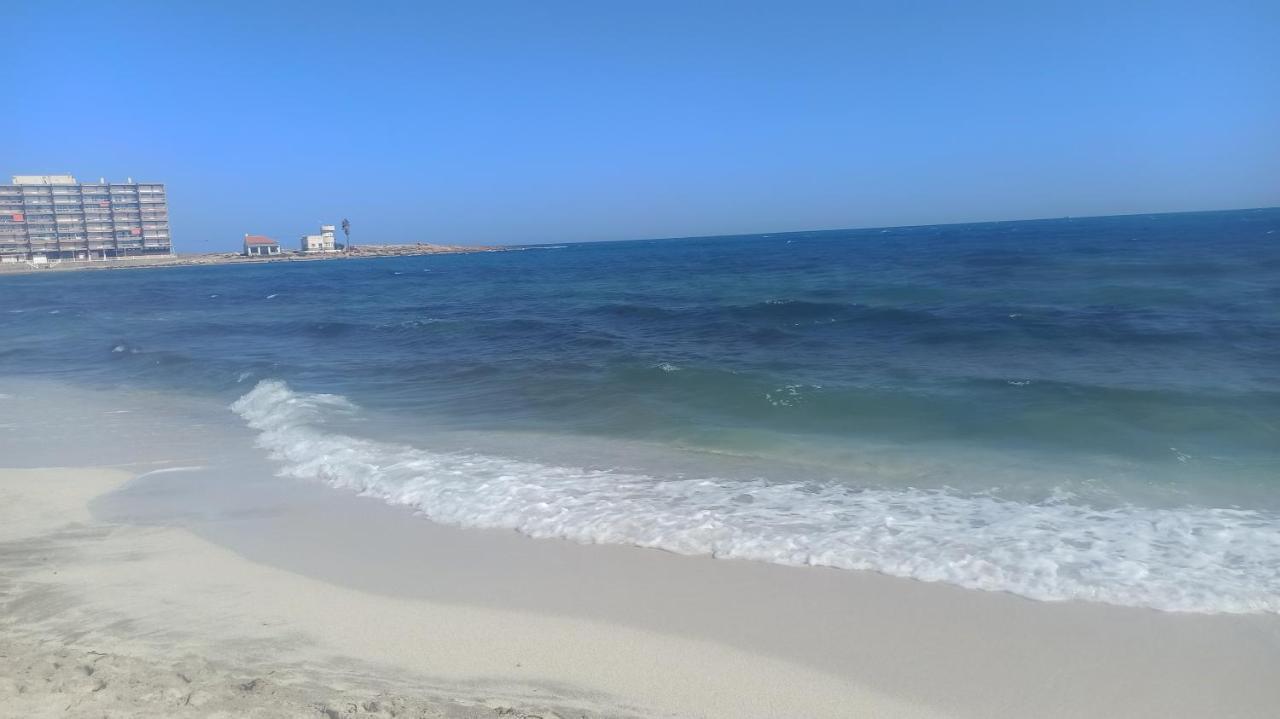Apartment Only 250M From The Beach Los Locos Торрев'єха Екстер'єр фото