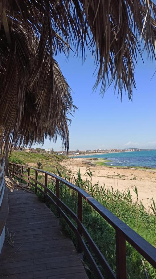 Apartment Only 250M From The Beach Los Locos Торрев'єха Екстер'єр фото